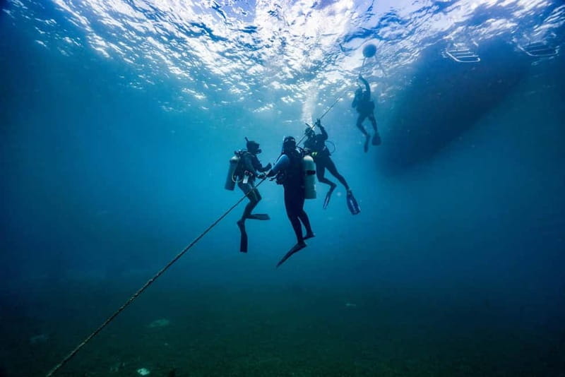 Lanzarote Your First Scuba Diving Experience - Free Underwater Photos and Videos: A Memory You Do Not Have to Hunt for
