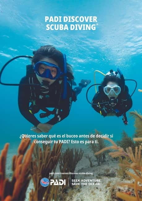 Lanzarote Your First Scuba Diving Experience - Price and Value: Is $87 a Good Deal Here?