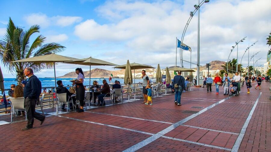 Las Palmas, Botanical Gardens and Bandama Volcano Tour - Key highlights to know before you go