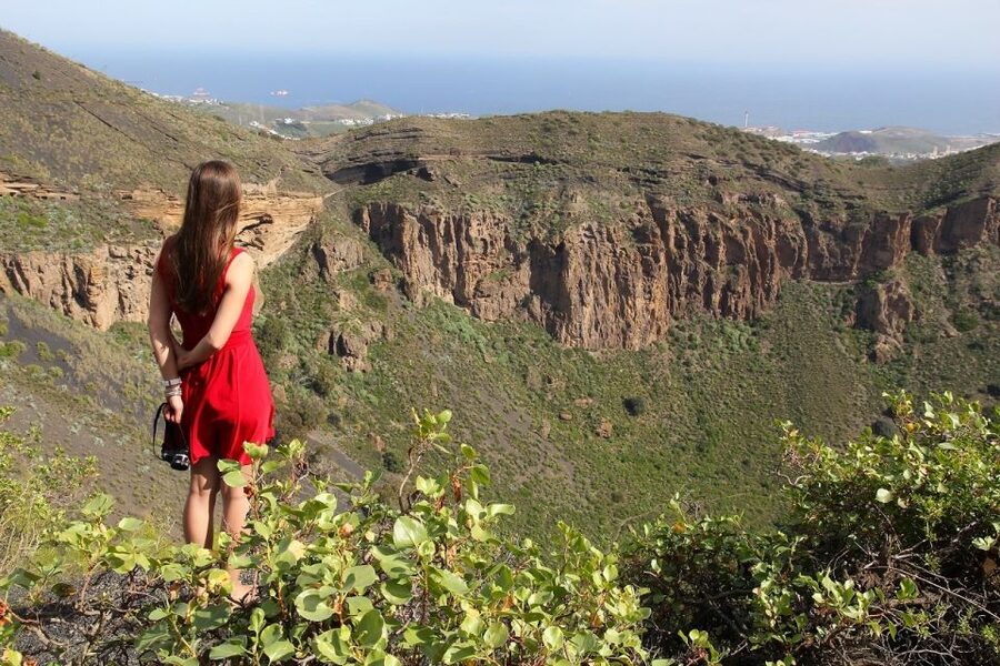 Las Palmas, Botanical Gardens and Bandama Volcano Tour - Price and logistics: what $37 buys, where you meet, and why timing matters