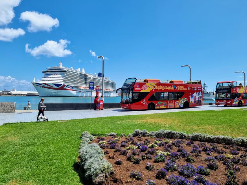 Las Palmas: City Sightseeing Hop-On Hop-Off Bus Tour - Who Should Book This and Who Should Consider Alternatives