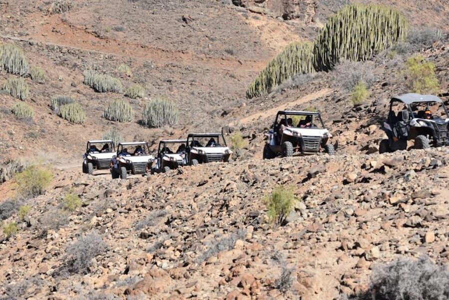 Las Palmas: Gran Canaria Guided Buggy Tour - 100% Off-Road Trails: Why the Terrain Shapes the Fun