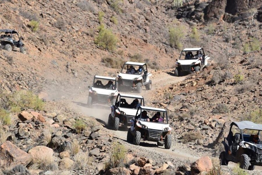 Las Palmas: Gran Canaria Guided Buggy Tour - Driver Requirements and Passenger Rules, Plain and Simple
