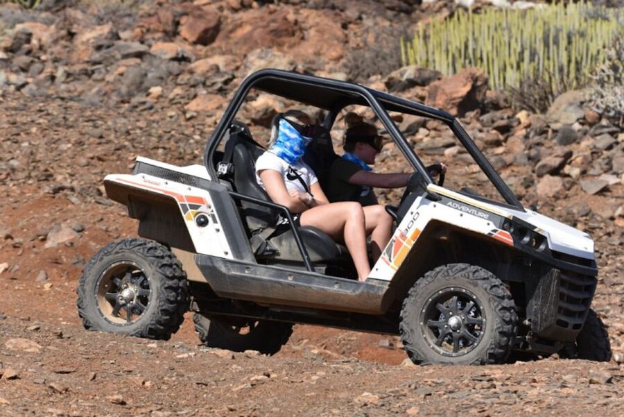 Las Palmas: Gran Canaria Guided Buggy Tour - Price and Value: Is $141 Worth It?