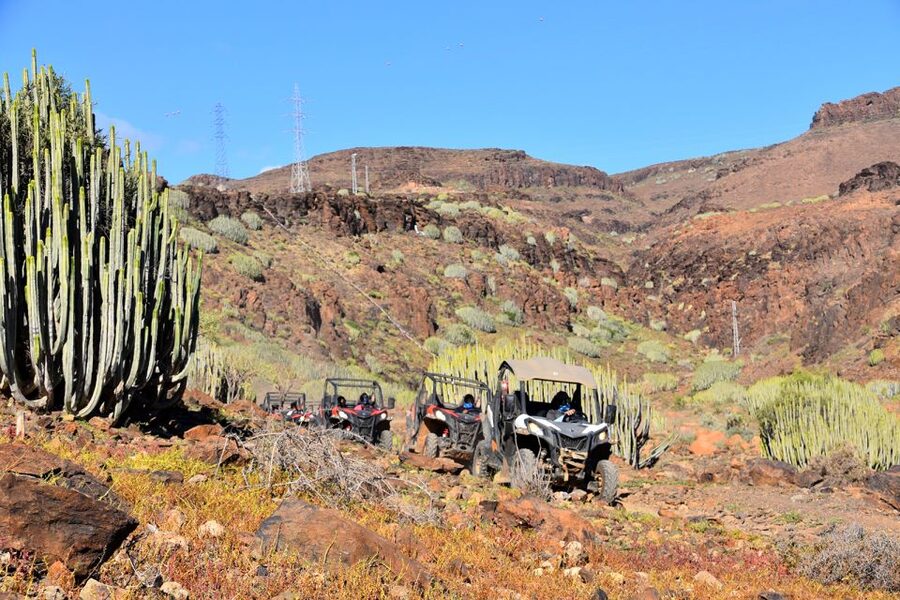 Las Palmas: Gran Canaria Guided Buggy Tour - From Pickup to Goggles On: What the Timing Really Means