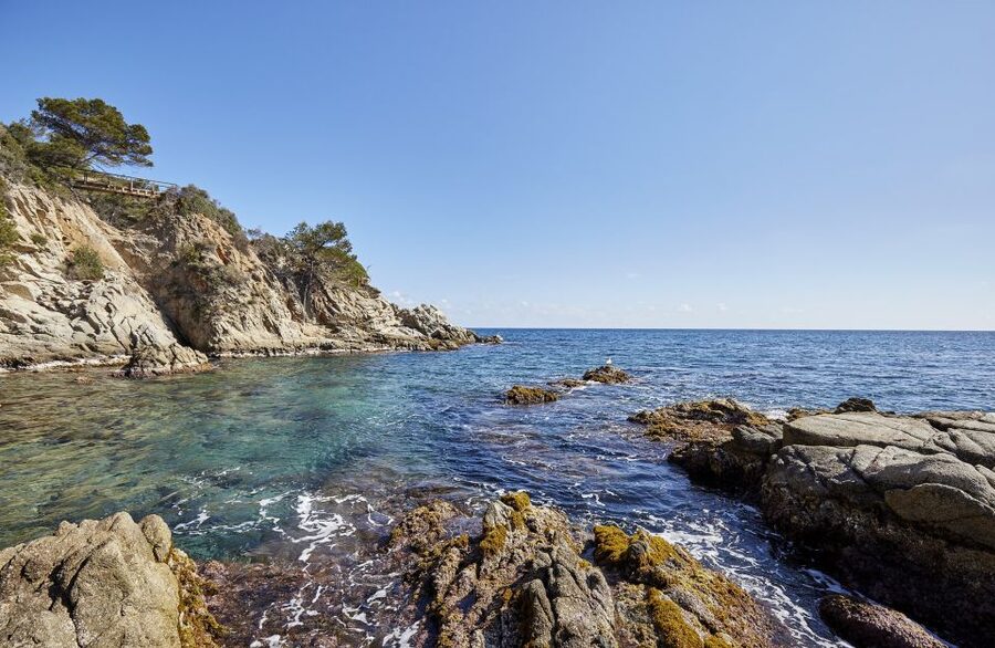 Lloret de Mar: Costa Brava Kayak Tour and Swimming - Why this Lloret de Mar kayak feels calmer than most “beach tours”
