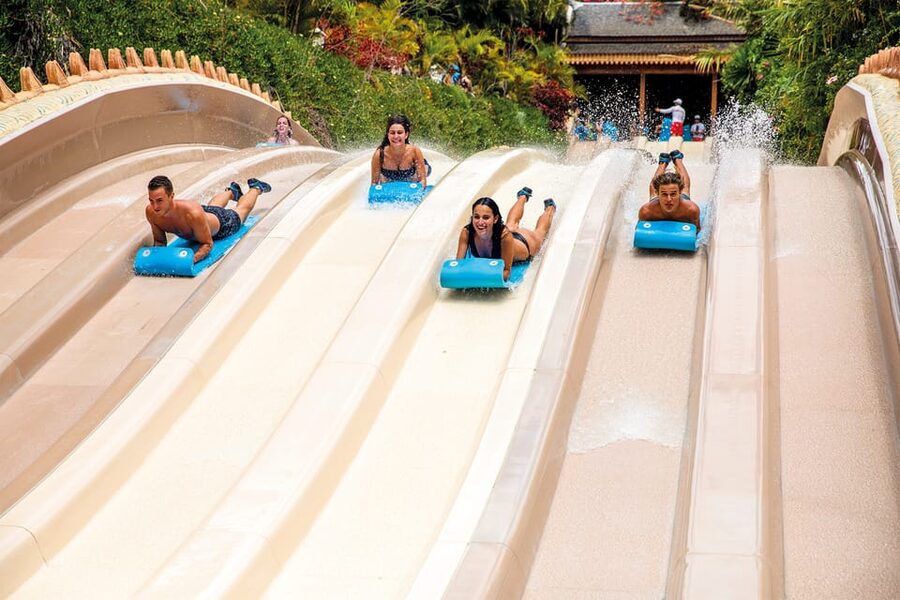 Loro Parque and Siam Park Combined Admission Tickets - From QR code to entry: how the twin ticket works in practice