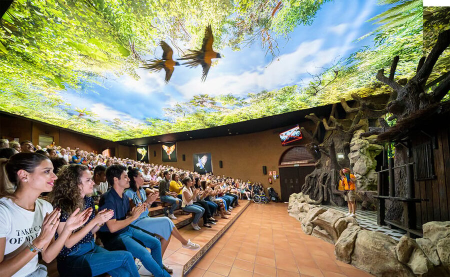 Loro Parque and Siam Park Combined Admission Tickets - Twin Tickets for Two Worlds: Loro Parque plus Siam Park