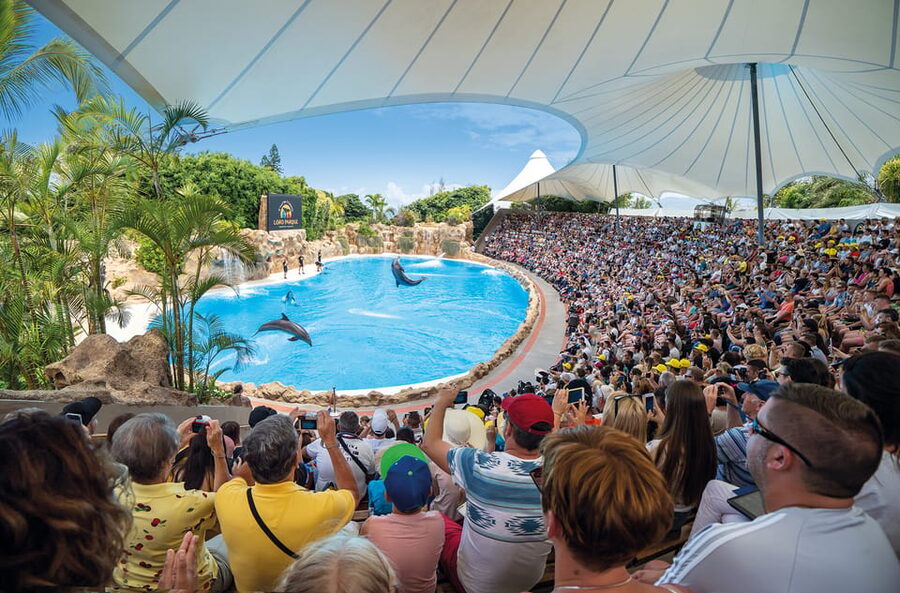 Loro Parque and Siam Park Combined Admission Tickets - Plan your sun and shoes, even in winter