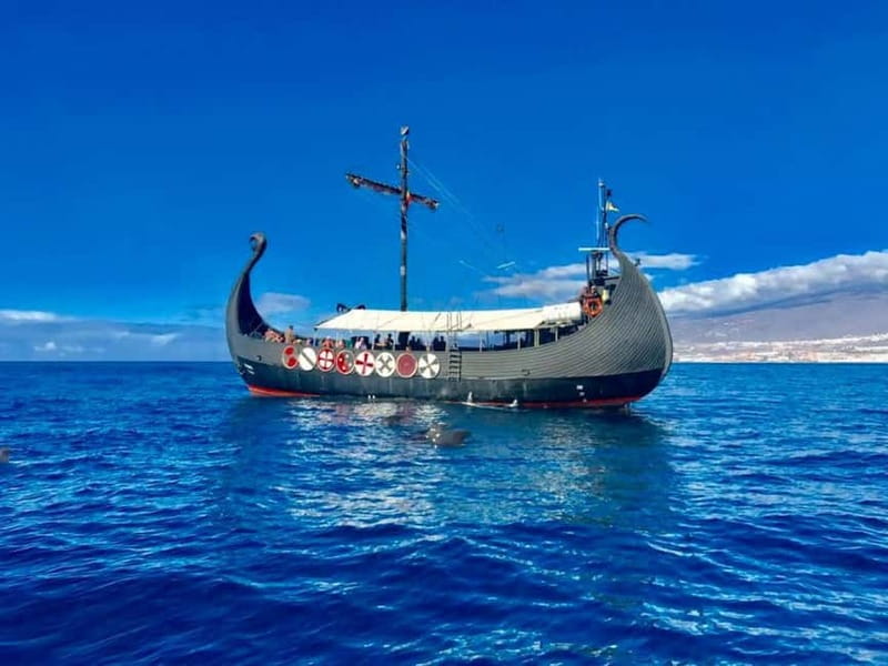 Los Cristianos: Viking Cruise Whales & Dolphins Watching - Ragnarok whale and dolphin watching: the Tenerife experience in plain terms