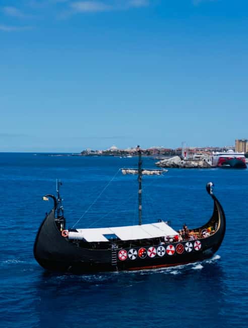 Los Cristianos: Viking Cruise Whales & Dolphins Watching - Who this cruise is best for (and who should skip it)