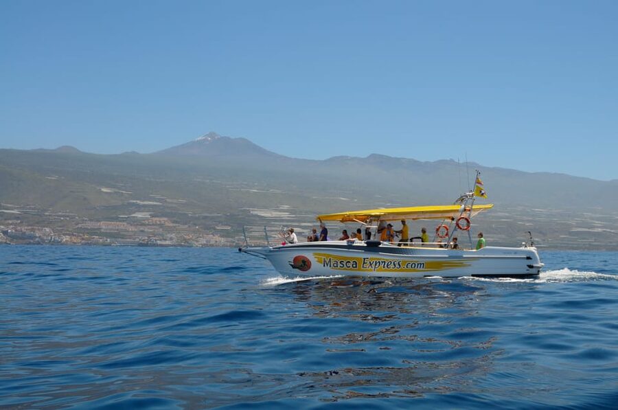 Los Gigantes: Dolphin & Whale Watching Cruise with Swim Stop - Los Gigantes cliffs set the tone fast