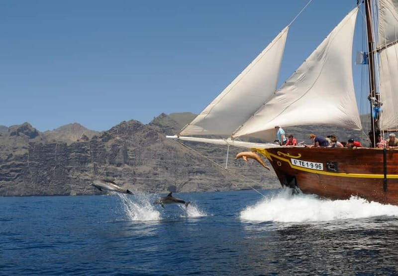Los Gigantes: Dolphin & Whale Watching Tour on a Pirate Boat - Pirate-Boat Setup in Los Gigantes Harbor