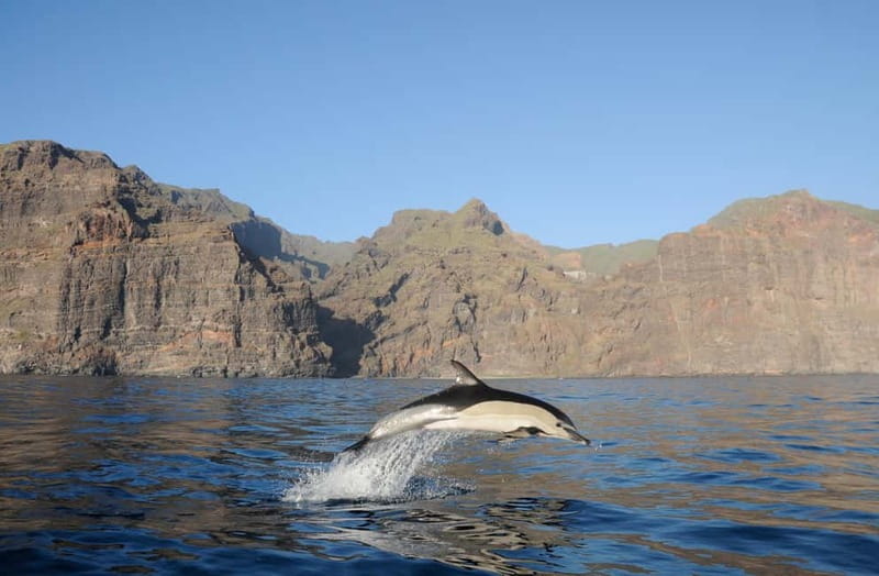 Los Gigantes: Dolphin & Whale Watching Tour on a Pirate Boat - Masca and Los Gigantes Cliffs: The View You’ll Remember