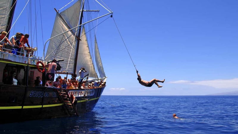 Los Gigantes: Dolphin & Whale Watching Tour on a Pirate Boat - Practical Tips to Make Your 2-3 Hours Go Smoothly