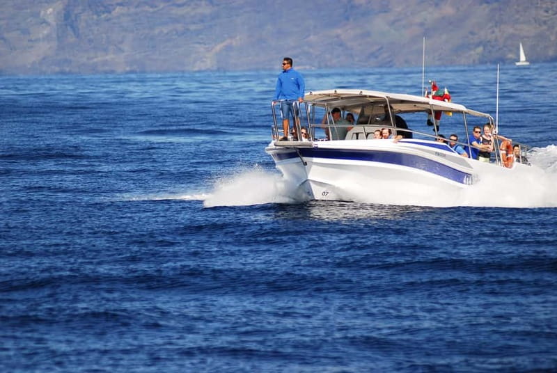 Los Gigantes: Whale or Dolphin Watching Tour and Swim in Masca - Getting to the boat: what the first 30 minutes feels like