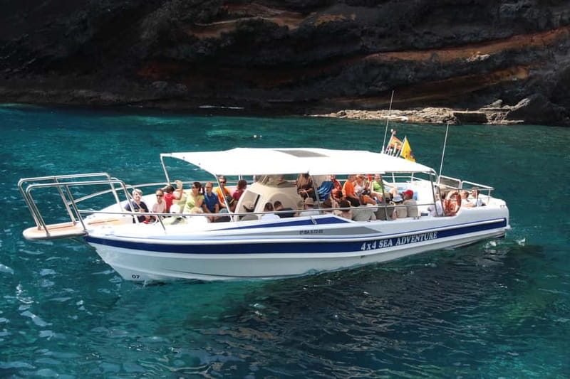 Los Gigantes: Whale or Dolphin Watching Tour and Swim in Masca - Sailing up close to the cliffs: the part that surprises people