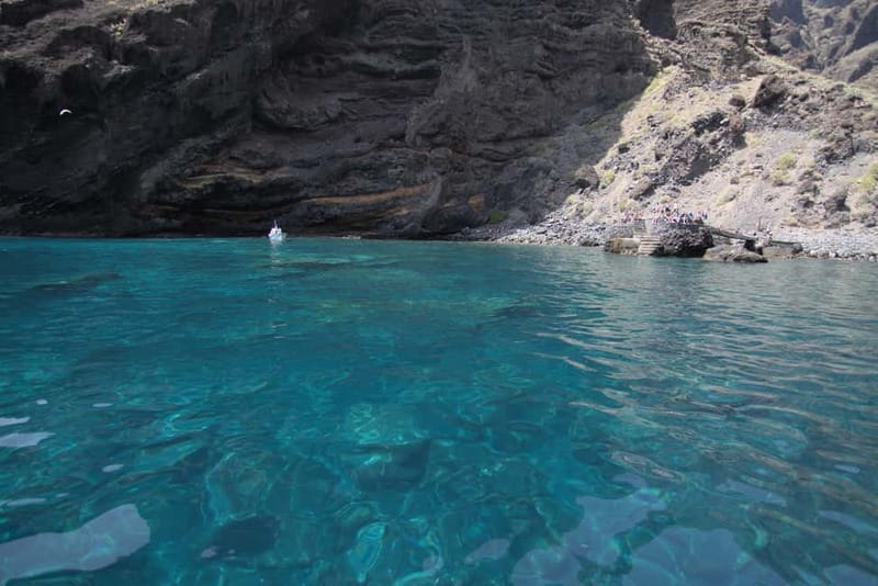 Los Gigantes: Whale or Dolphin Watching Tour and Swim in Masca - Price and value: why $33 feels fair for what you get