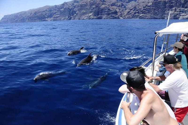 Los Gigantes: Whale or Dolphin Watching Tour and Swim in Masca - Wildlife spotting in Los Gigantes: what to watch for and how to improve your odds