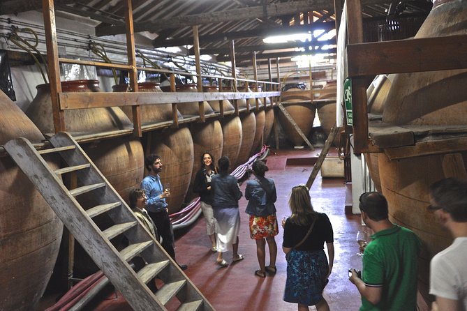 Madrid Countryside Wineries Guided Tour with Wine Tasting - Key Highlights Worth Planning For