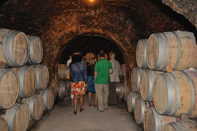 Madrid Countryside Wineries Guided Tour with Wine Tasting - Stop 2: Señorio de Val Azul and the Organic Vineyard Advantage