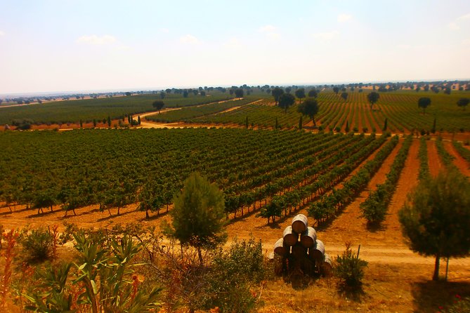 Madrid Countryside Wineries Guided Tour with Wine Tasting - Wine Tastings and Snacks: Expect 10 Plus Wines and Real Pairings