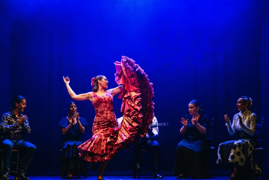 Madrid: "Emociones" Live Flamenco Performance - Key Points Before You Go