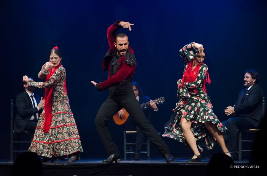 Madrid: "Emociones" Live Flamenco Performance - The Real Value: Why This Show Feels Authentic