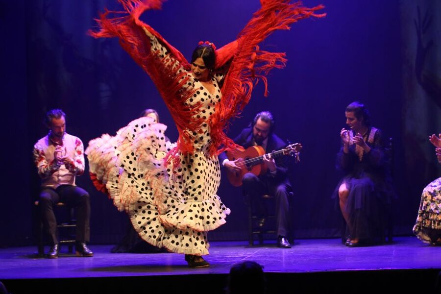 Madrid: "Emociones" Live Flamenco Performance - Possible Downsides to Consider Before Booking