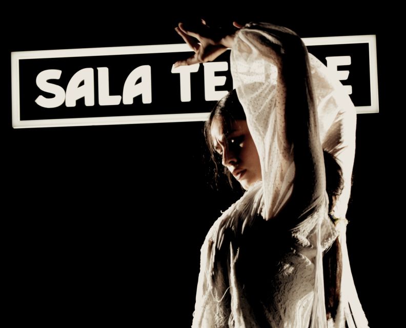 Madrid: Flamenco Show at Tablao Sala Temple with Drink - Price and value: what $29 gets you in real terms
