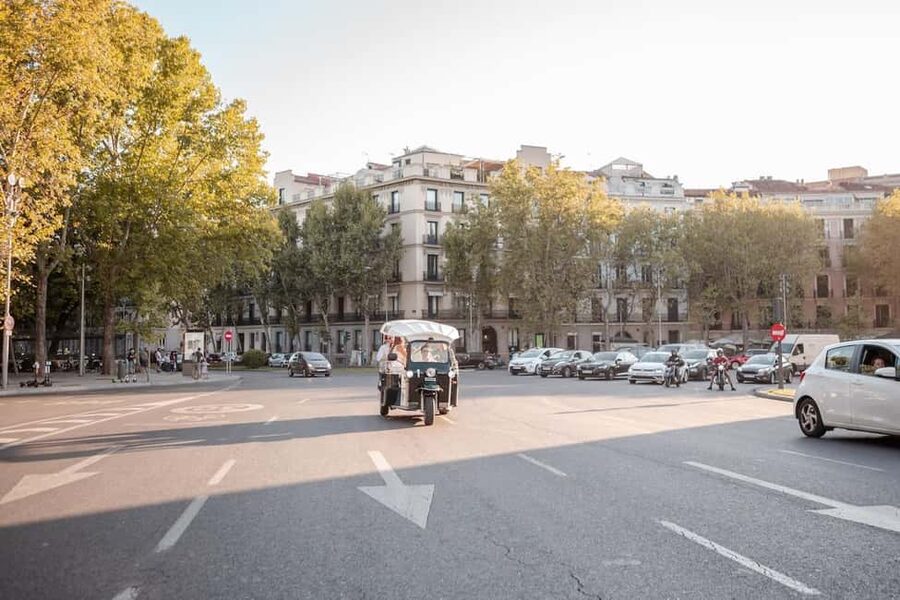 Madrid: Private City Tour by Eco Tuk Tuk - Plaza de Santa Ana and Almudena Cathedral: theater square to royal views
