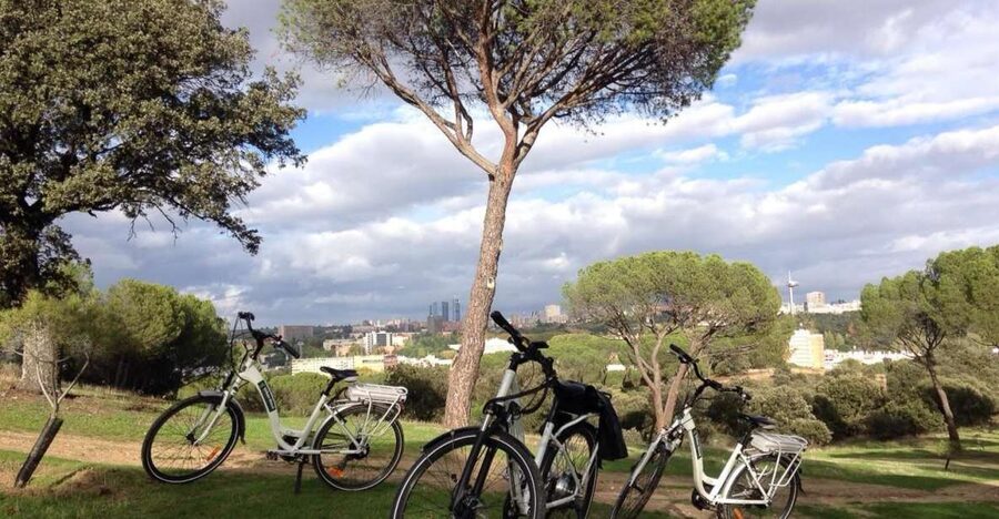 Madrid’s River Side & Casa de Campo Electric Bike Tour - Sabatini Gardens and the hill climb: when your legs can relax