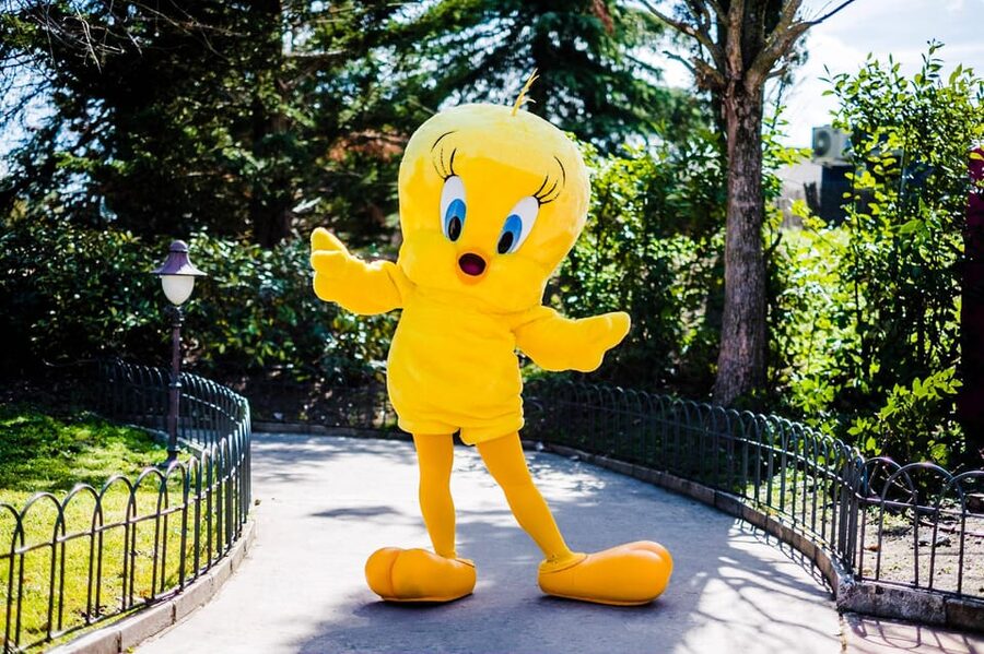 Madrid: Warner Park Entry Ticket - Hollywood Boulevard and Movie World Studios route: set your route first
