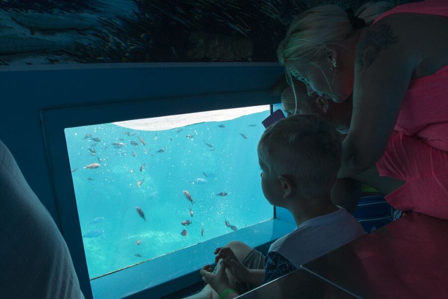 Mahon: Harbor Boat Tour with Underwater Viewing & Commentary - Price, included value, and the short-list of must-knows