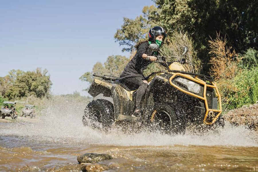 Málaga: 1-Hour Off-Road Tour by 2-Seater Quad in Mijas - Second Sierra de Mijas Segment: Wildlife Sightings on the Move