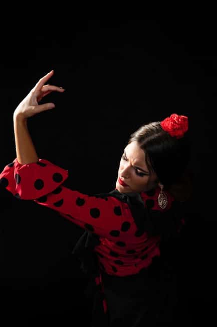 Malaga: Authentic Flamenco Dinner Show at Restaurant VinoMio - Restaurante VinoMio Flamenco: Why This Style Works in Malaga