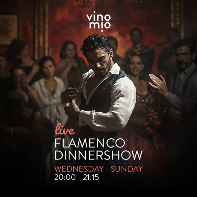Malaga: Authentic Flamenco Dinner Show at Restaurant VinoMio - Your Evening Plan: How the 45 Minutes Rolls Out