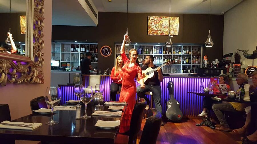 Malaga: Authentic Flamenco Dinner Show at Restaurant VinoMio - No-Mic Acoustics: When You Should Care Most