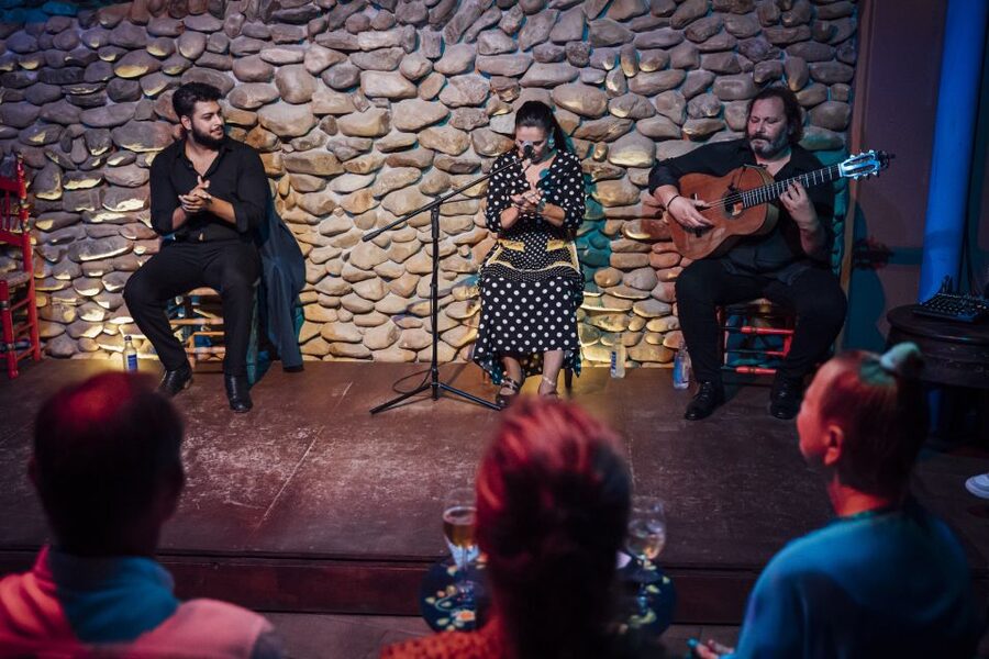Malaga: Authentic Flamenco Show at El Gallo Ronco - Price and Value: Is $27 Reasonable for Flamenco in Malaga?