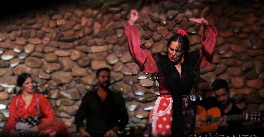 Malaga: Authentic Flamenco Show at El Gallo Ronco - The 1-Hour Flamenco Show: What You Really See Up Close