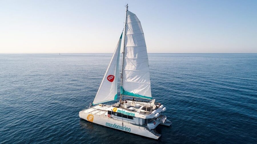 Malaga: Catamaran Sailing Cruise with Swimming & Optional DJ - Is This Worth $23 in Malaga? Value That Feels Real