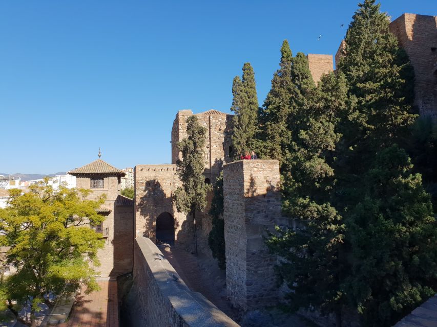 Málaga: Cathedral, Alcazaba, Roman Theater Walking Tour - Renaissance Cathedral of Málaga: details you’ll notice with a guide