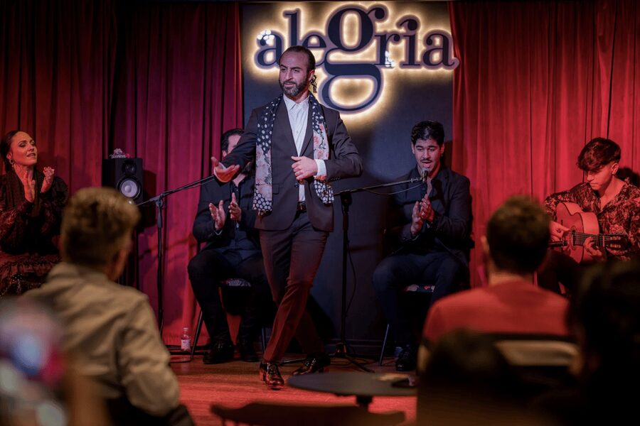 Málaga: Live Flamenco Show at Flamenco Alegría - Key Things to Know Before You Go