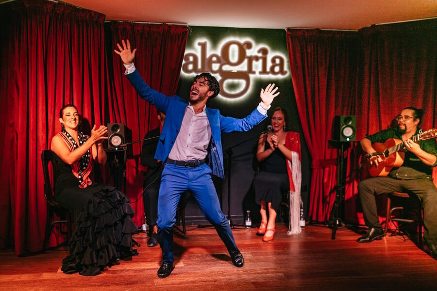 Málaga: Live Flamenco Show at Flamenco Alegría - Tapas and wine options before the performance, and how to order smart