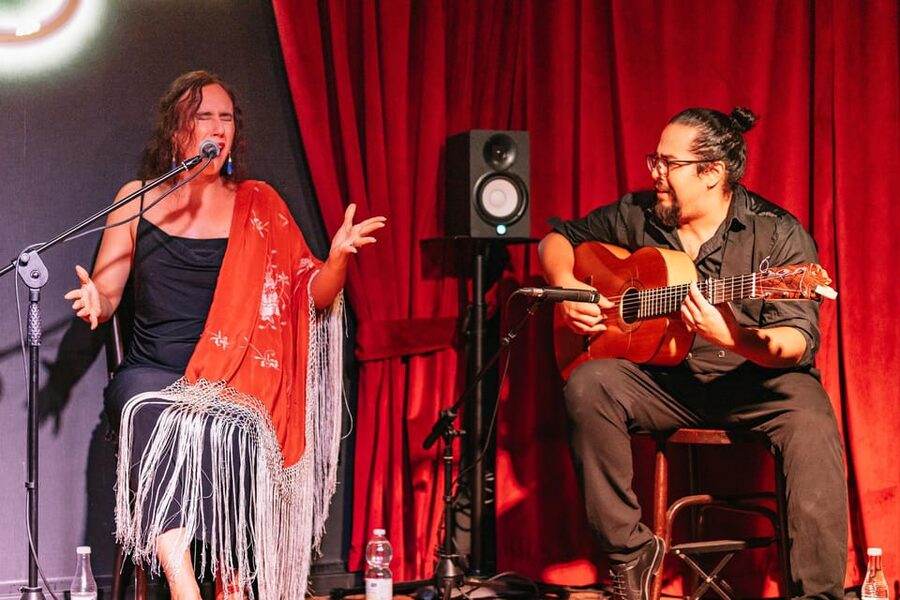 Málaga: Live Flamenco Show at Flamenco Alegría - Timing in your Málaga night, when to go and what to pair it with