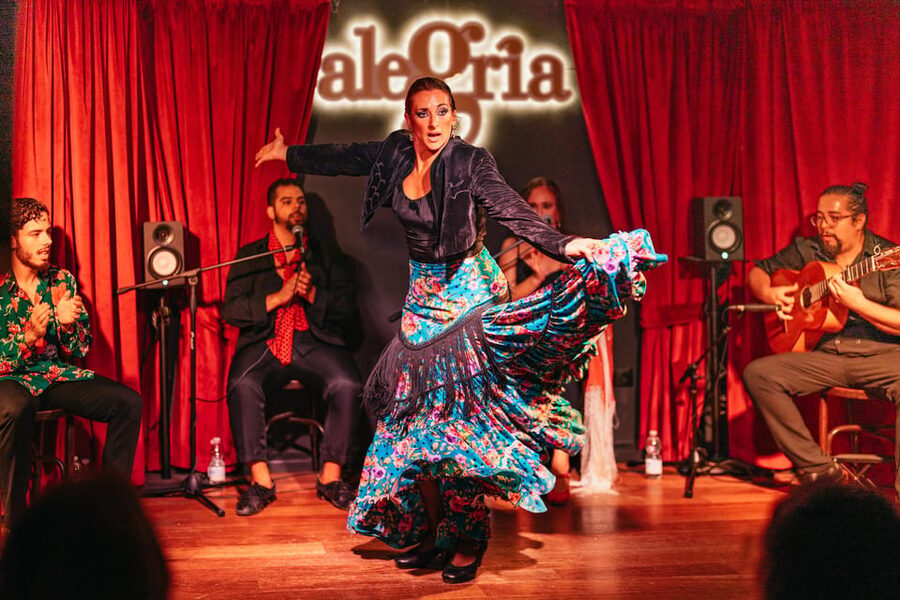 Málaga: Live Flamenco Show at Flamenco Alegría - Who this flamenco night fits best