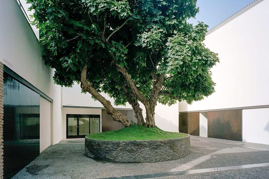 Málaga: Museo Picasso Málaga Entry Ticket - What to do with your time: garden café and bookshop stop