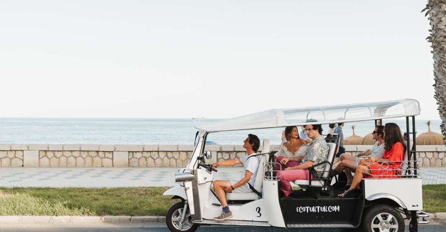 Malaga: Private City Tour by Eco Tuk Tuk - 1 to 2 hours of Malaga sights: what you see and why each stop matters