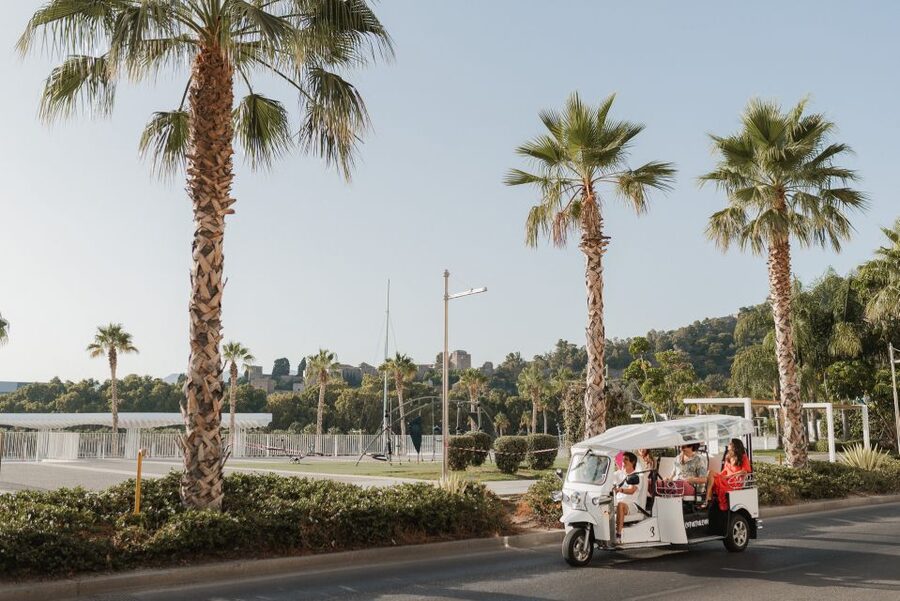 Malaga: Private City Tour by Eco Tuk Tuk - Plaza de la Marina: finishing with the feeling of the center and the waterfront