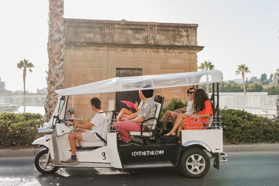 Malaga: Private City Tour by Eco Tuk Tuk - Practical limits you should plan around (so nothing surprises you)